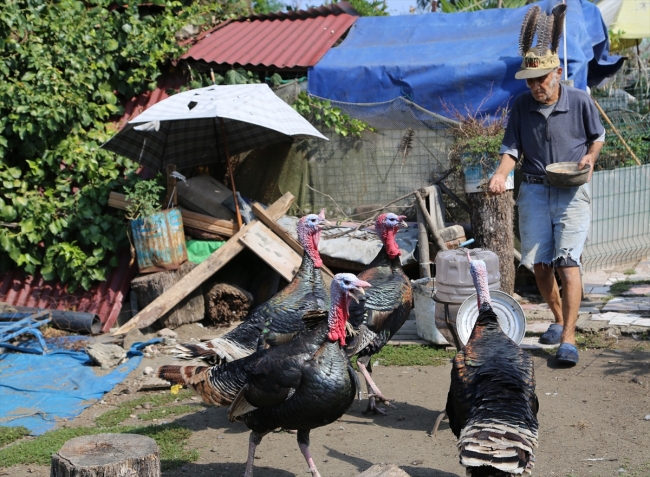 90 yaşındaki Fahrettin Özdemir bahçesinde 50 hayvana bakıyor